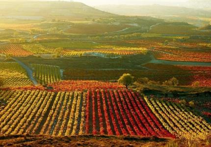 Mejores planes de turismo familiar e infantil en La Rioja